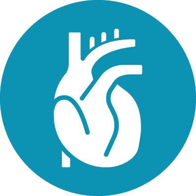 icona-cardiologia