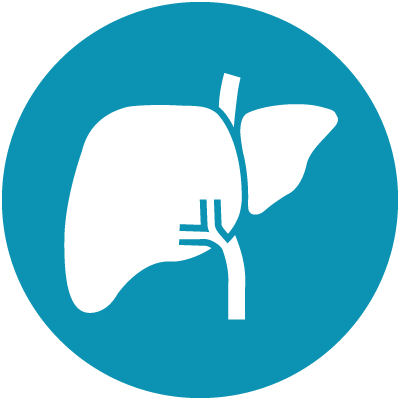 icona-patologie-metaboliche